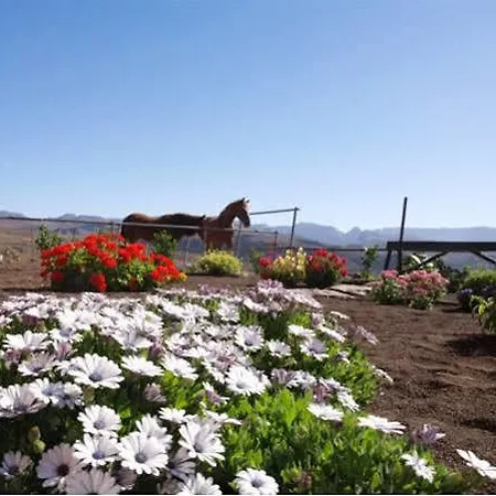 בית כפרי The Black Horse Canarias - Adults Only *